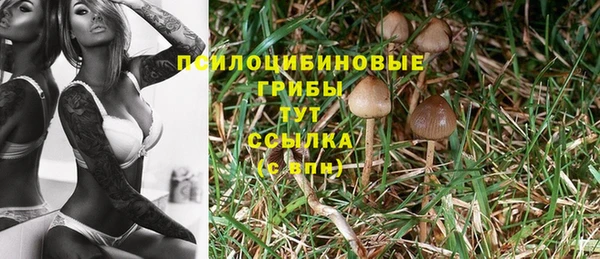 кокаин премиум Арсеньев