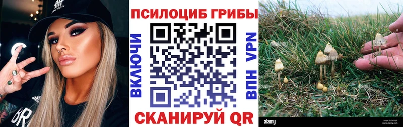 Галлюциногенные грибы прущие грибы гидра маркетплейс Артёмовский купить